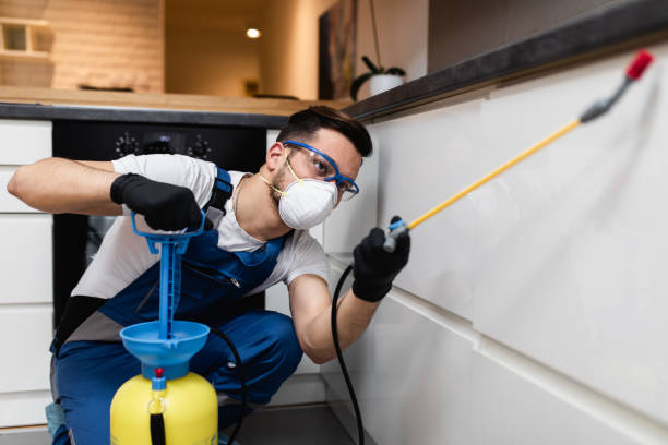 Best Termite Control Services  in Shell Rock, IA