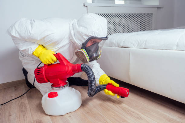 Best Affordable Pest Control Services  in Shell Rock, IA