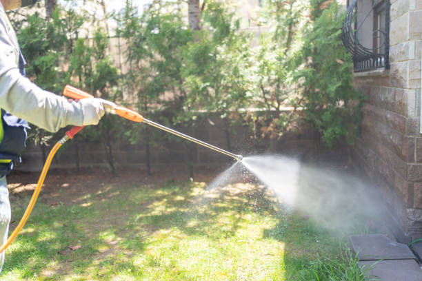 Wasp Removal Services in Shell Rock, IA