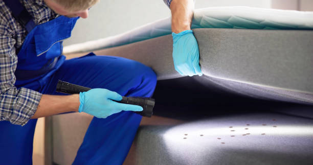Best Ant Control Services  in Shell Rock, IA