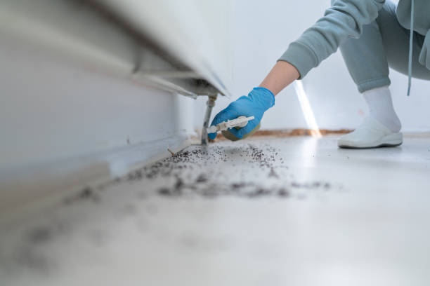 Best Emergency Pest Control  in Shell Rock, IA